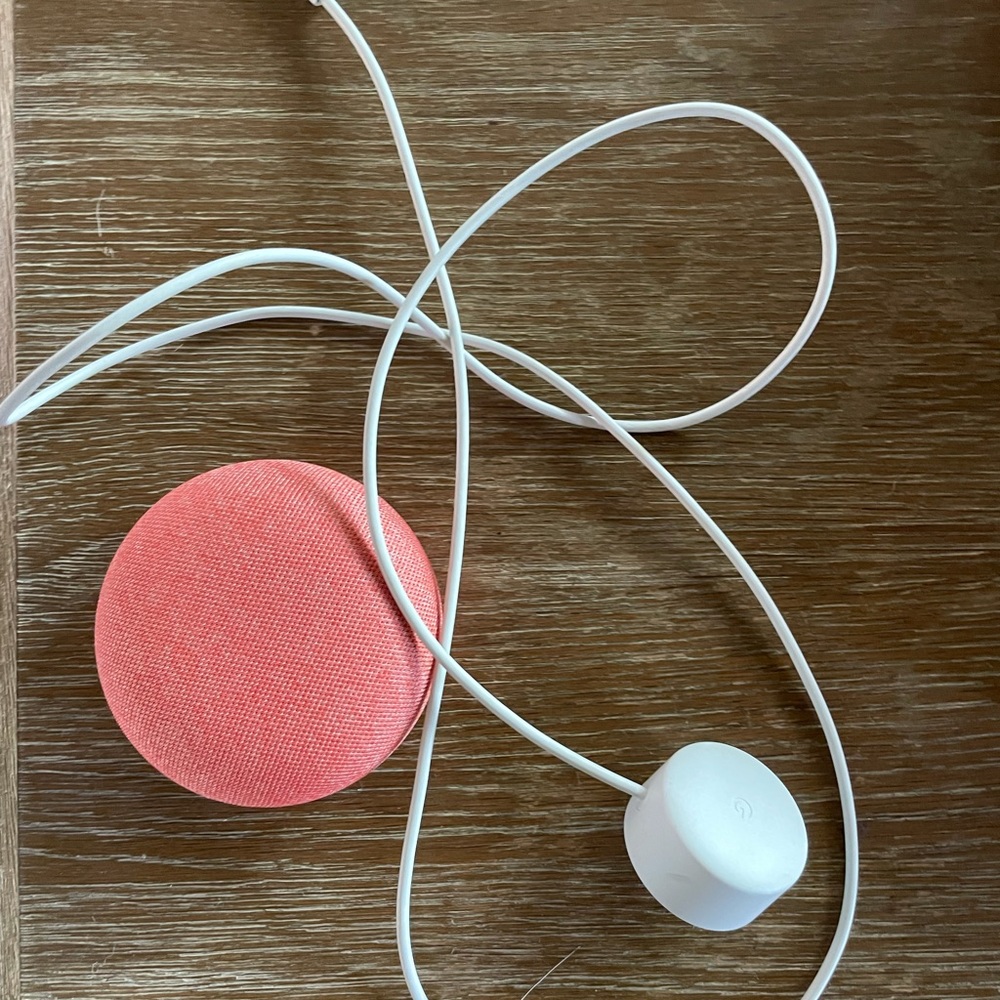 Google Nest Mini - Coral